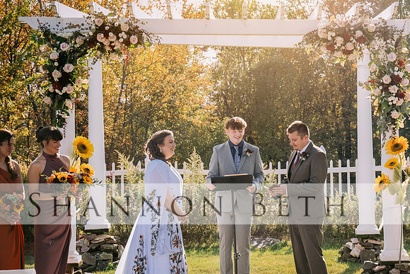 z295