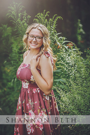 a2